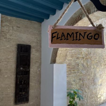 شقة Camasanlucar Sanlúcar de Barrameda المظهر الخارجي الصورة